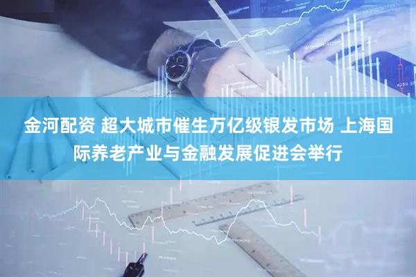 金河配资 超大城市催生万亿级银发市场 上海国际养老产业与金融发展促进会举行