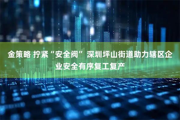 金策略 拧紧“安全阀” 深圳坪山街道助力辖区企业安全有序复工复产