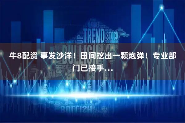 牛8配资 事发沙洋！田间挖出一颗炮弹！专业部门已接手…